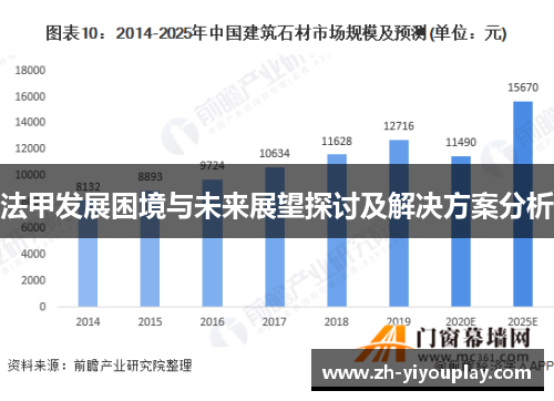 法甲发展困境与未来展望探讨及解决方案分析